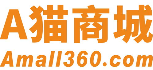 浙江艾貓網絡科技 信息科技浪潮中的創新者與賦能者