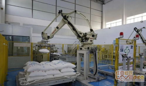 防城區自動機械化助推 甜蜜事業 更甜蜜