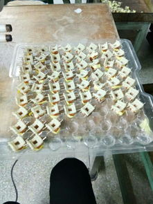 如圖電子廠產(chǎn)品包膠帶工位怎樣才能快速在11個小時內(nèi)完成2000個產(chǎn)量產(chǎn)品,而且不能包出不良品,規(guī)定