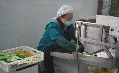 遵義有個(gè)配料 小巨人 每年生產(chǎn)1.5億包方便面泡椒包